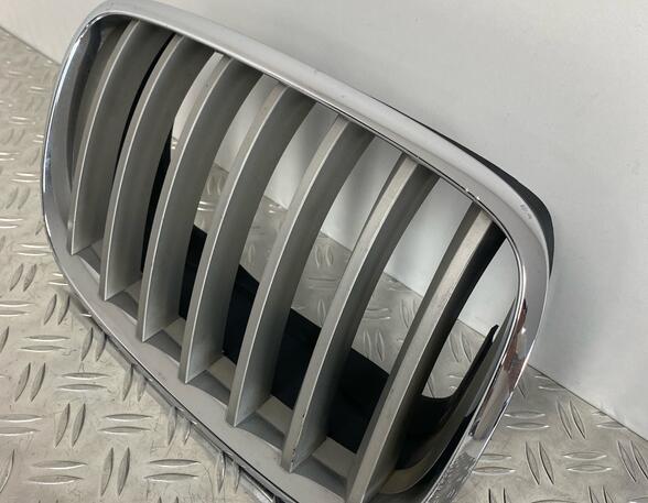 Radiateurgrille BMW X5 (E70)