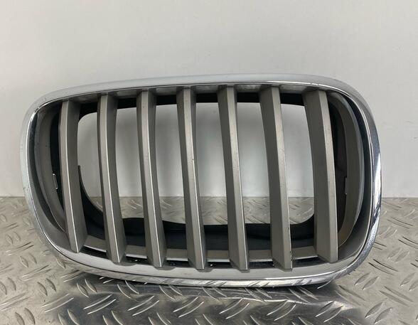 Ziergitter Grill Kühlergrill Niere Fronthaubengrill rechts BMW X5 E70  7 185 224