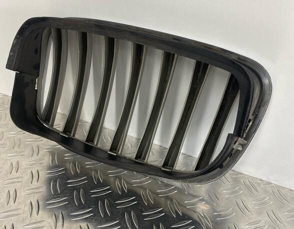 Ziergitter Grill Kühlergrill Niere Fronthaubengrill rechts BMW X5 E70  7 185 224