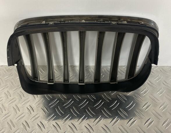 Radiateurgrille BMW X5 (E70)