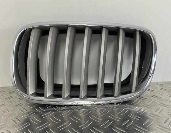 Radiator Grille BMW X5 (E70)