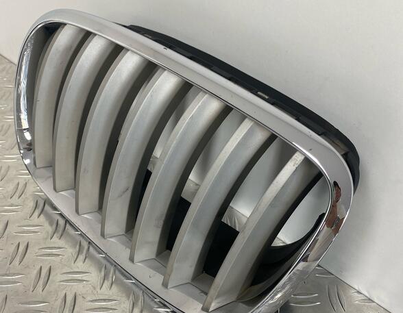 Radiateurgrille BMW X5 (E70)