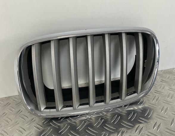 Radiateurgrille BMW X5 (E70)