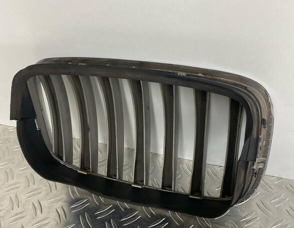 Radiator Grille BMW X5 (E70)