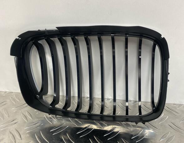 Radiateurgrille BMW 3 (E46)