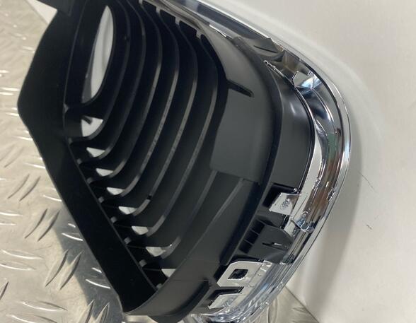 Radiateurgrille BMW 3 (E46)