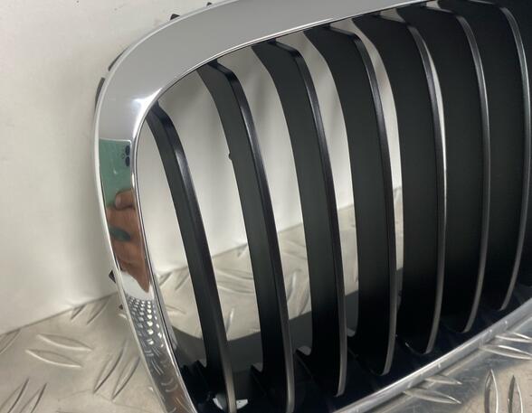 Radiator Grille BMW 3 (E46)