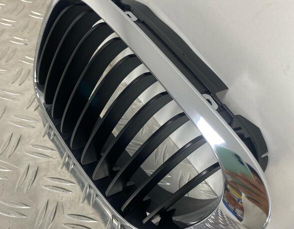 Radiator Grille BMW 3 (E46)