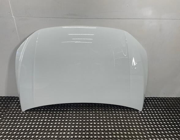 Bonnet VW POLO (AW1, BZ1)