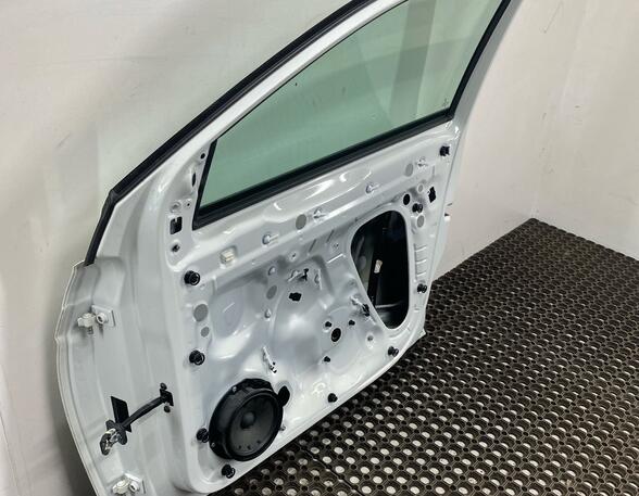 Door VW POLO (AW1, BZ1)