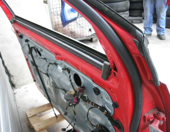 Trim Strip Door VW Polo (9N)