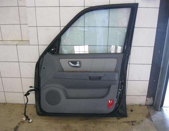 Trim Strip Door HYUNDAI Terracan (HP)