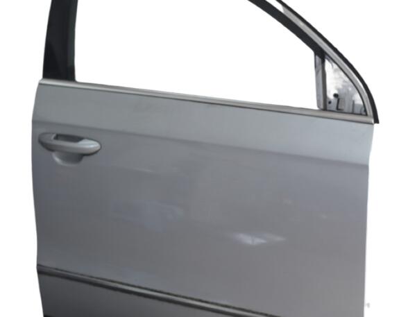 Trim Strip Door VW Passat Variant (3C5)