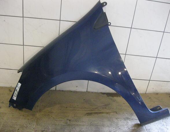 Spatbord RENAULT Clio III (BR0/1, CR0/1)