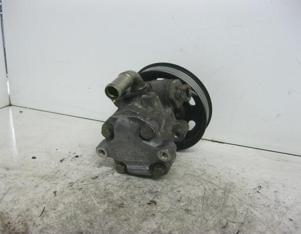 Power steering pump VW Polo (6N2)