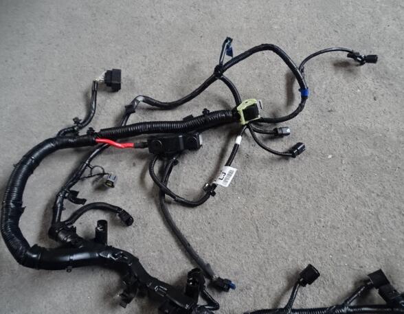 Engine Wiring Harness FORD RANGER (TKE) AB3912B637 A12747574