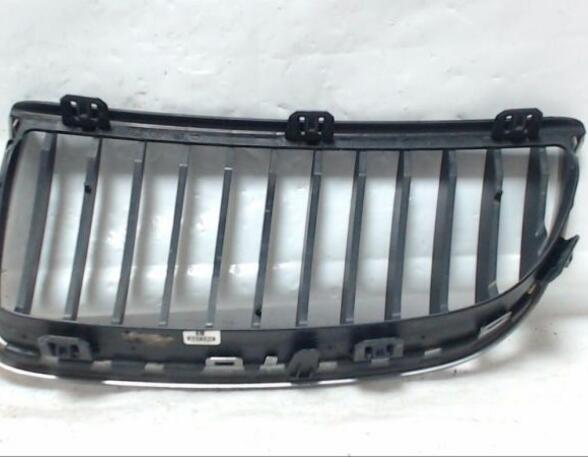 Radiator Grille BMW 3er (E90)