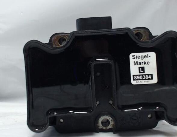 Ignition Coil VW GOLF V (1K1)