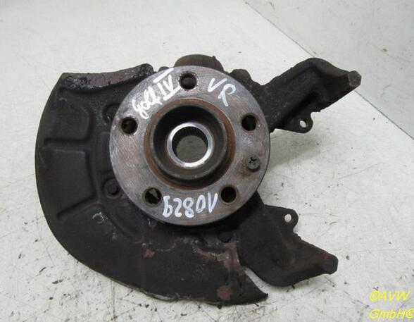 Wheel Bearing Housing VW Golf IV (1J1)