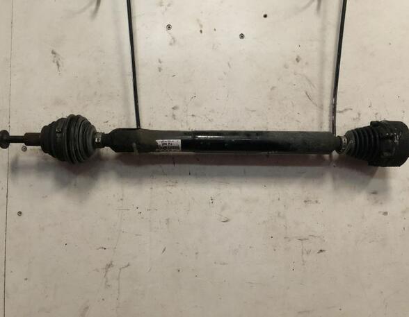 Drive Shaft VW Touran (1T1, 1T2), VW Touran (1T3)