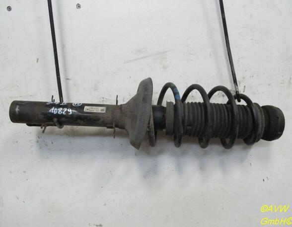 Suspension Strut VW Golf IV (1J1)