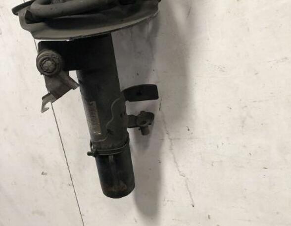 Suspension Strut FORD Focus III Turnier (--)