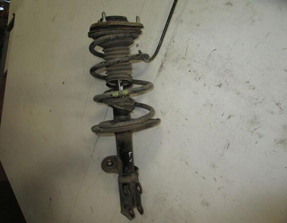 Suspension Strut TOYOTA RAV 4 III (_A3_)