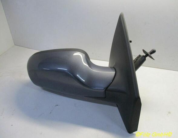 Wing (Door) Mirror RENAULT Clio III (BR0/1, CR0/1)