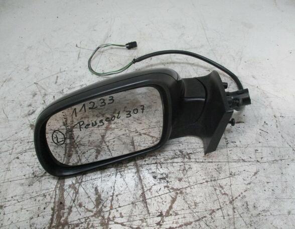 Wing (Door) Mirror PEUGEOT 307 (3A/C)