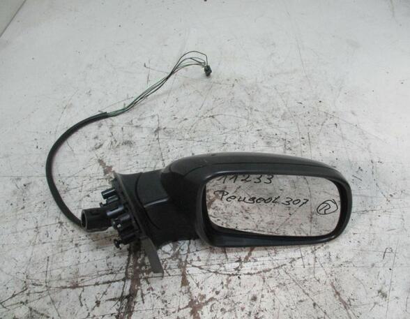 Wing (Door) Mirror PEUGEOT 307 (3A/C)