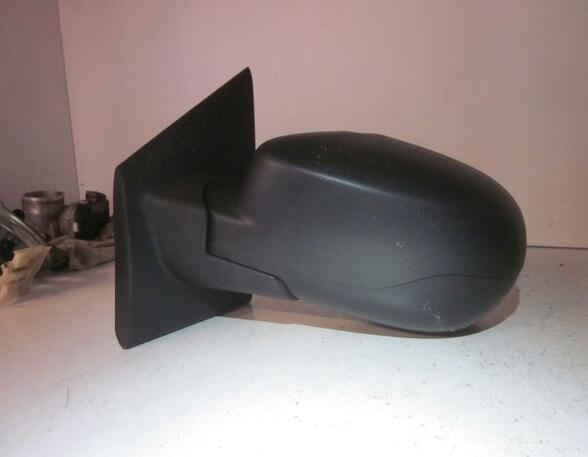 Wing (Door) Mirror RENAULT Twingo II (CN0)