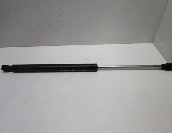 Gas Spring RENAULT Twingo I (C06)