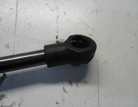 Gas Spring RENAULT Twingo II (CN0)