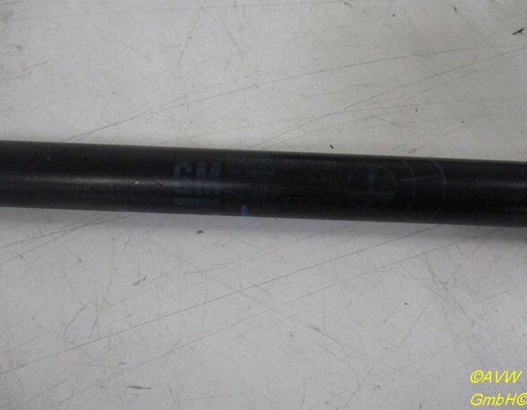 Gas Spring OPEL Zafira A (F75_)