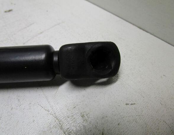 Gas Spring AUDI A3 (8L1)