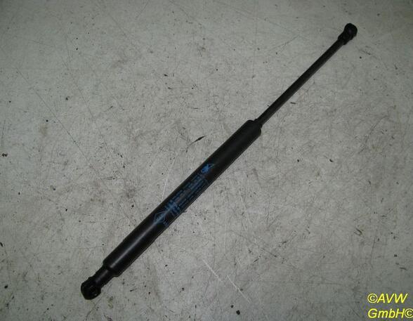 Gas Spring RENAULT TWINGO II (CN0_)