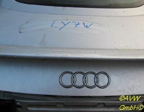 Boot (Trunk) Lid AUDI TT (8N3)