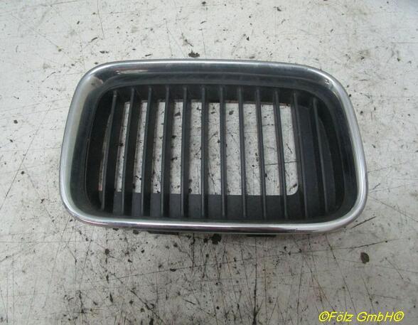 Radiator Grille BMW 3er (E36)