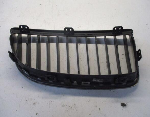 Radiateurgrille BMW 3 Touring (E91)