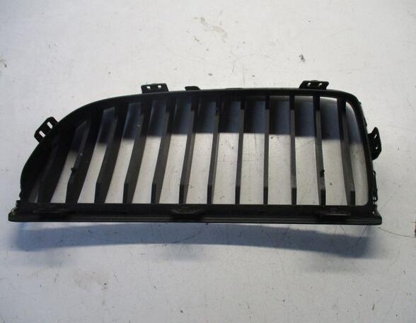 Radiateurgrille BMW 3 Touring (E91)