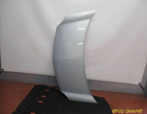 Motorhaube Silber RENAULT KANGOO EXPRESS (FW0/1_) 1.5 DCI 75 55 KW