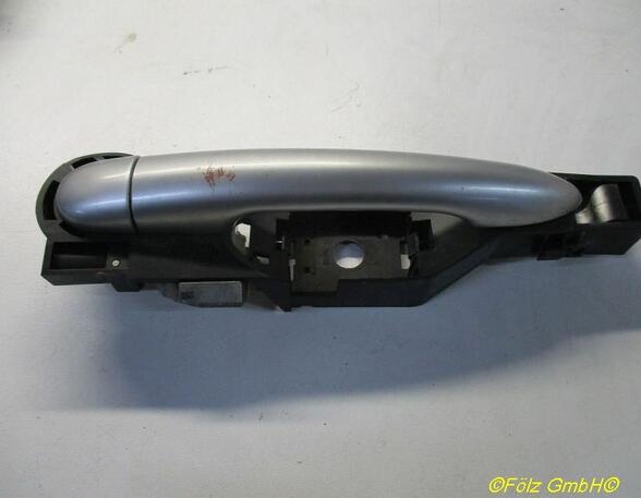 Door Handle RENAULT Clio III (BR0/1, CR0/1)