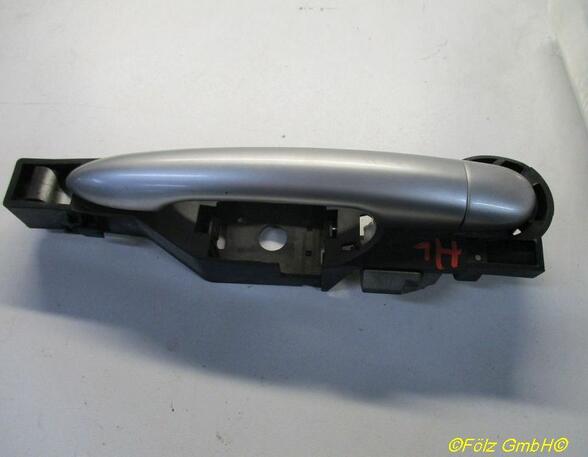 Door Handle RENAULT Clio III (BR0/1, CR0/1)