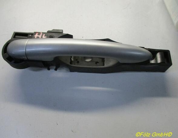 Door Handle RENAULT Clio III (BR0/1, CR0/1)