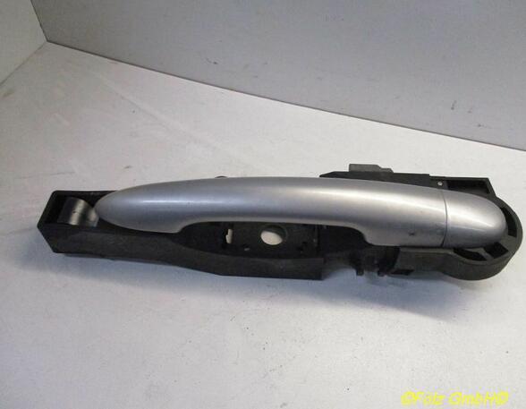 Door Handle RENAULT Clio III (BR0/1, CR0/1)