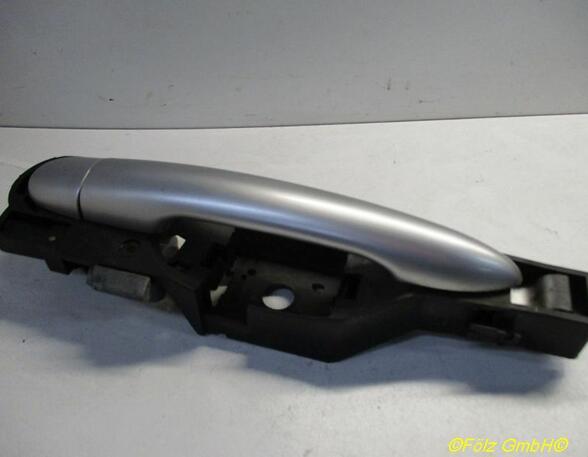 Door Handle RENAULT Clio III (BR0/1, CR0/1)