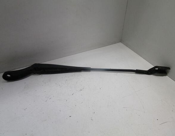 Wiper Arm RENAULT Twingo II (CN0)