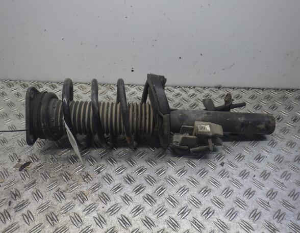 Suspension Strut FORD Focus III Turnier (--)