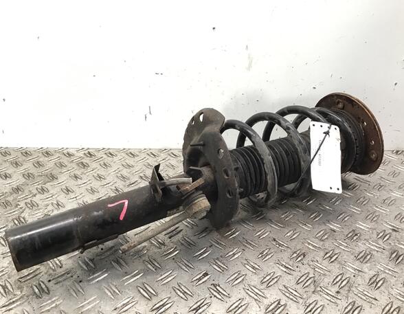 Suspension Strut FORD Galaxy (WA6), FORD S-Max (WA6)