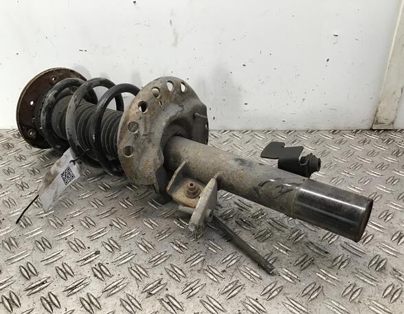 Suspension Strut FORD Galaxy (WA6), FORD S-Max (WA6)